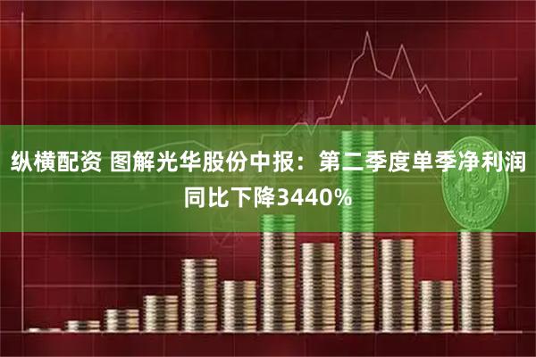 纵横配资 图解光华股份中报：第二季度单季净利润同比下降3440%