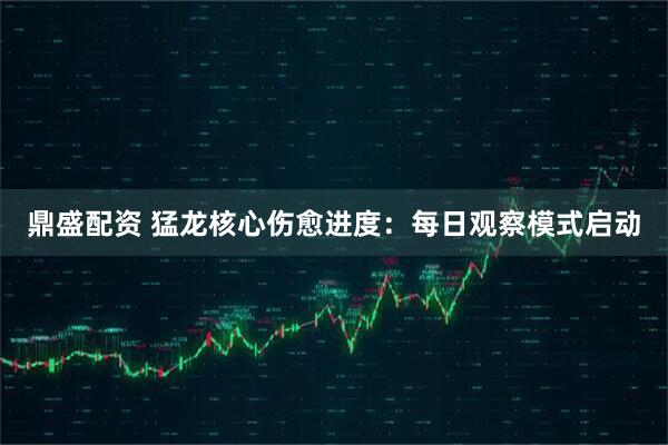 鼎盛配资 猛龙核心伤愈进度：每日观察模式启动