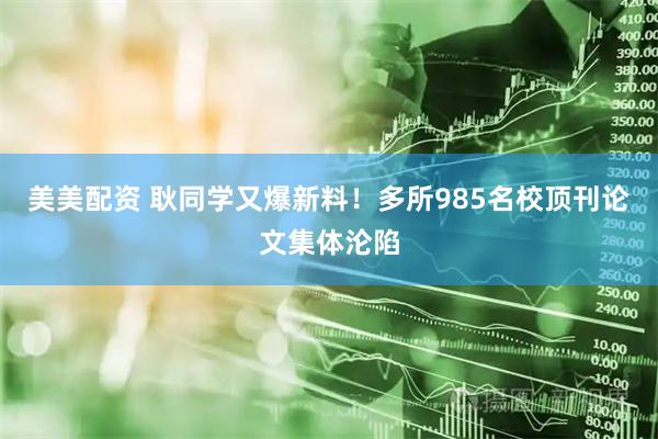 美美配资 耿同学又爆新料！多所985名校顶刊论文集体沦陷